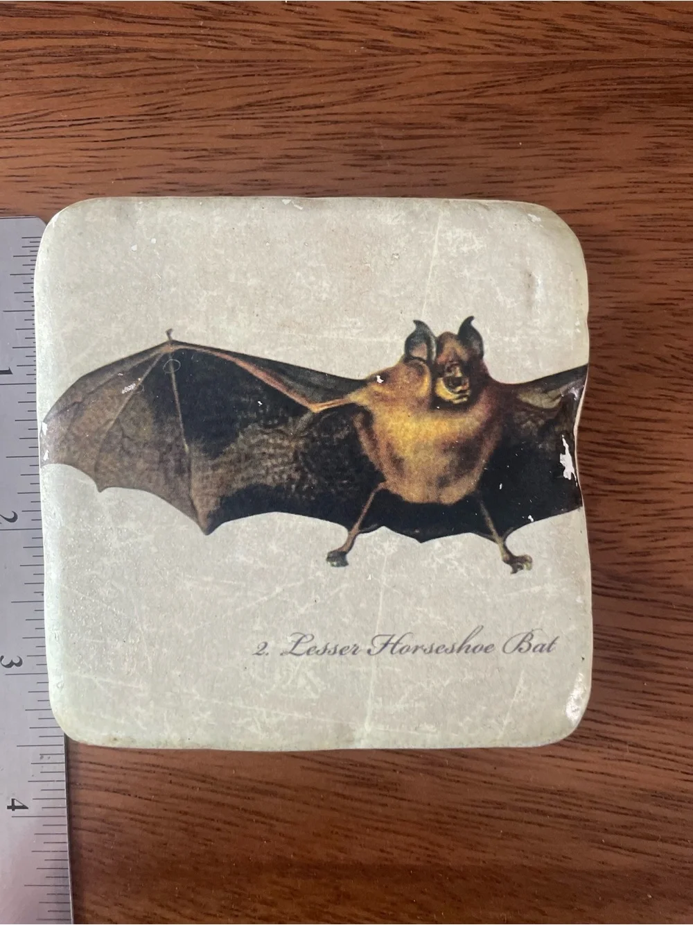 Set of 4 Cream Bat Illustration Coasters – Decorative Stone Drink Coasters